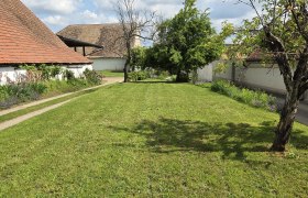 Wohnmobilstellplatz, © Fam. Krottendorfer Grüne Wiese mit Bäumen und Gebäuden im Hintergrund unter blauem Himmel mit Wolken.