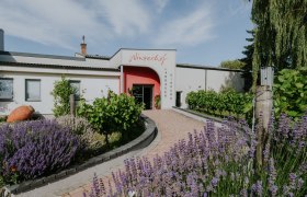 der Winzerhof, © Winzerhof Landauer-Gisperg der Winzerhof, © Winzerhof Landauer-Gisperg