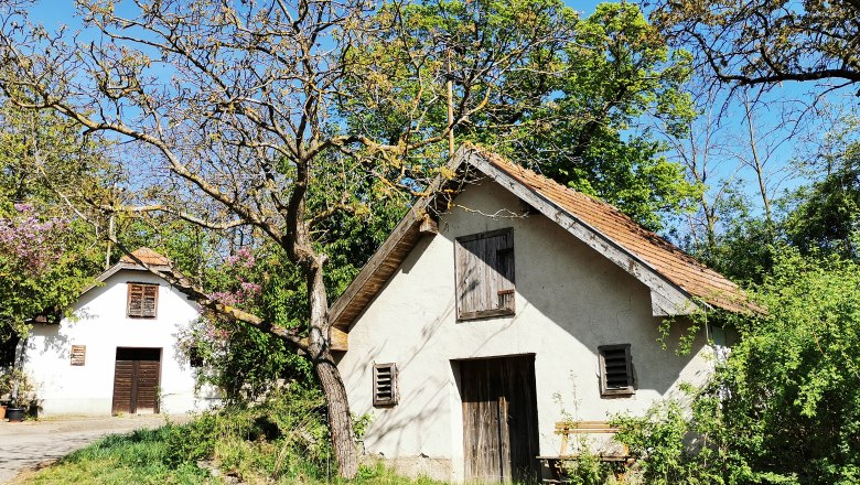 Kellergasse Zeiselberg in Immendorf, © Weinstraße Weinviertel Zwei kleine, traditionelle Weinkeller in einer grünen Umgebung mit blühenden Bäumen und blauem Himmel.