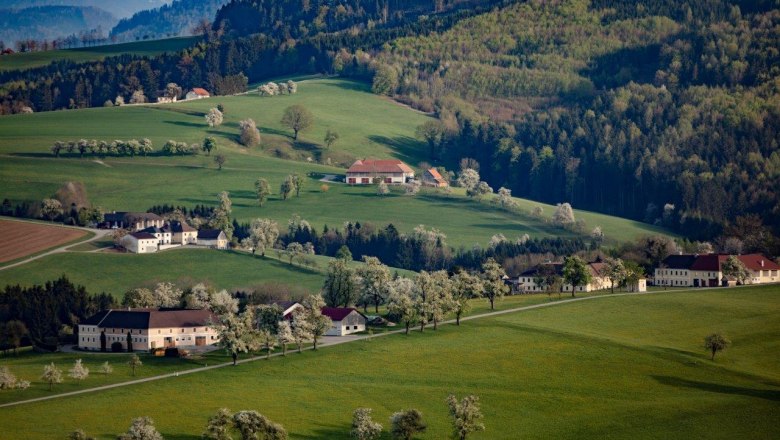 Fotopunkt Karl Lammerhuber Blick, © schwarz-koenig.at Fotopunkt Karl Lammerhuber Blick, © schwarz-koenig.at