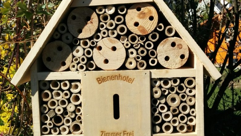 Bienenhotel, © Reep Ein Bienenhotel aus Holz mit verschiedenen Röhren und Löchern, aufgehängt an einem Pfosten im Garten.