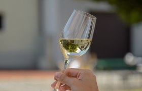 Weinglas, © Weinviertel Tourismus / Lisa Sedlatschek Eine Hand hält ein Weinglas mit Weißwein im Freien.