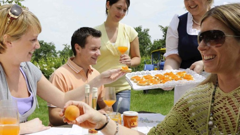 Produktverkostung, © Steve Haider Gruppe von Menschen bei einer Verkostung von Marillenprodukten im Freien.