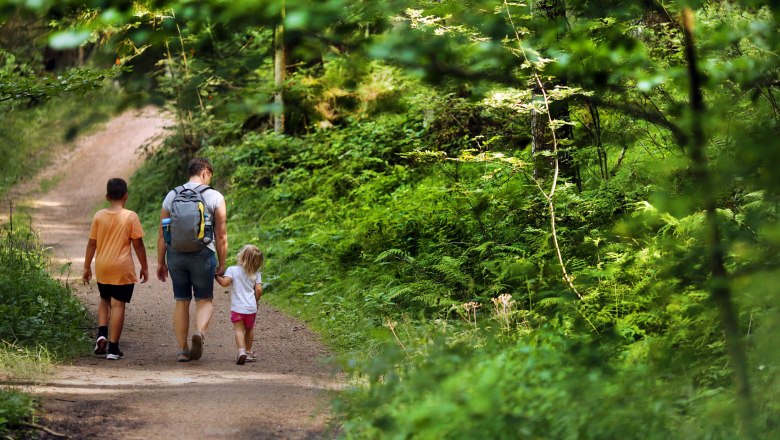Auf Hundertwassers Spuren, © Waldviertel Tourismus, weinfranz Eine Familie spaziert auf einem Waldweg, umgeben von üppigem Grün.