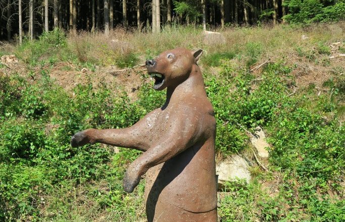 Ziel Parcours, © ARRA-Bogensport Harmanschlag Ziel Parcours, © ARRA-Bogensport Harmanschlag