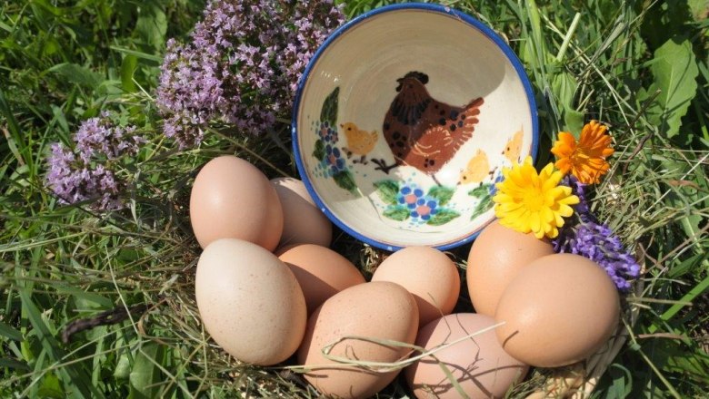 Eier vom Biohof, © Sabine Baumann Eier vom Biohof, © Sabine Baumann