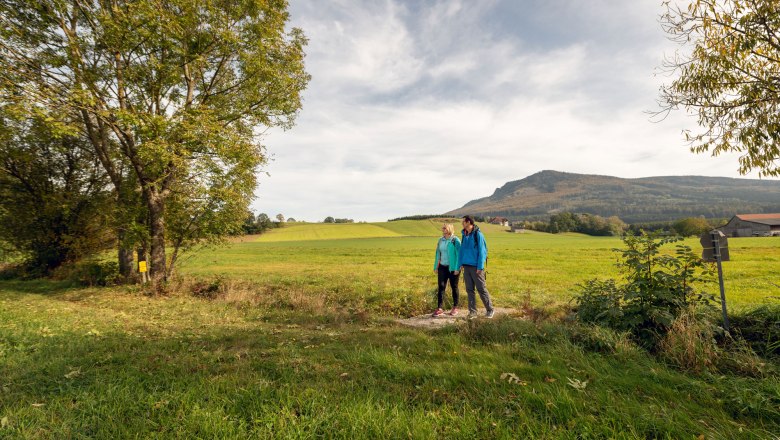 Wandern im Südlichen Waldviertel, © Lebensweg, Studio Kerschbaum Zwei Personen wandern auf einem Feldweg im Südlichen Waldviertel, umgeben von grünen Wiesen und einem bewaldeten Hügel im Hintergrund.