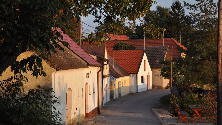 Weinviertler Kellergassenkulinarium, © Marktgemeinde Jedenspeigen Eine malerische Kellergasse mit traditionellen Weinkellern und roten Dächern in Jedenspeigen, umgeben von Bäumen im Abendlicht.