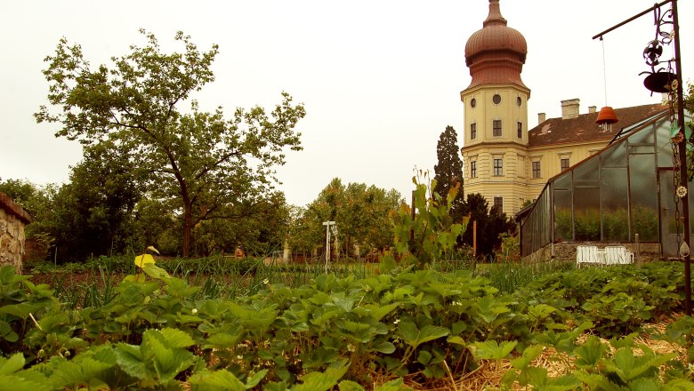 Garten im Stift Göttweig, © Eveline Gruber Garten im Stift Göttweig, © Eveline Gruber