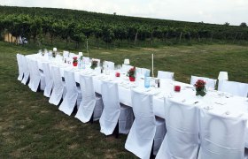 Tafeln im Weinviertel, © Weinviertel Tourismus GmbH Lange, weiß gedeckte Tafel im Freien vor einem Weinberg.