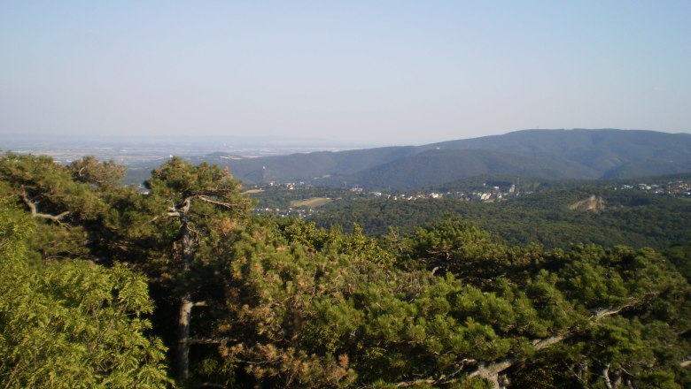 Josefswarte Aussicht, © Kulturabteilung Perchtoldsdorf Blick von der Josefswarte auf bewaldete Hügel und ein Dorf in der Ferne.