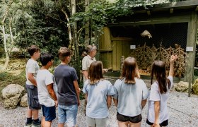 NÖ Falknerei- und Greifvogelzentrum, © Waldviertel Tourismus, Matthias Streibel NÖ Falknerei- und Greifvogelzentrum, © Waldviertel Tourismus, Matthias Streibel