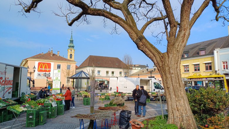 Wochenmarkt Stockerau, © Johannes Ehn Wochenmarkt in Stockerau mit Ständen, einem großen Baum und Gebäuden im Hintergrund.