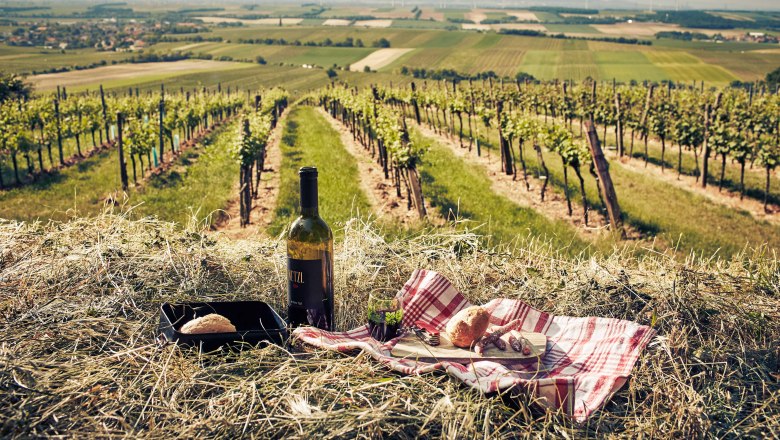 VIA.VINUM. Rundweg Göttelsbrunn-Arbesthal, © Donau Niederösterreich/Andreas Hofer VIA.VINUM. Rundweg Göttelsbrunn-Arbesthal, © Donau Niederösterreich/Andreas Hofer