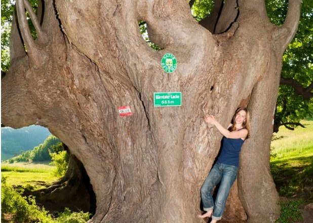 Naturdenkmal Bärntal-Lacke, © www.extremfotos.com Naturdenkmal Bärntal-Lacke, © www.extremfotos.com