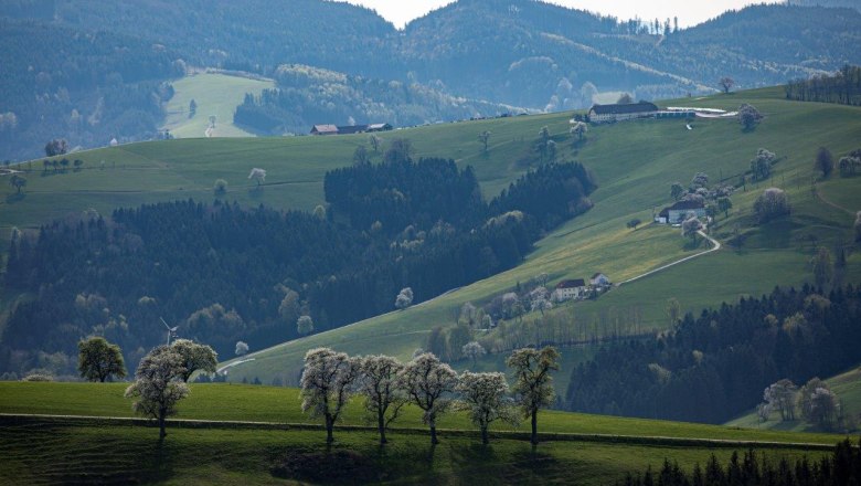 Fotopunkt Mostviertel, © schwarz-koenig.at Fotopunkt Mostviertel, © schwarz-koenig.at