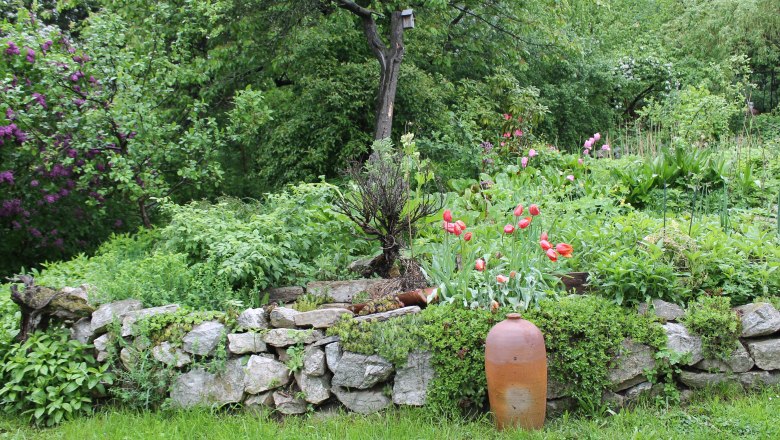 mai_13-2_003_ausschn_c_hofbauer, © Hofbauer Ein grüner Garten mit Steinmauer, roten Tulpen und einem großen Tonkrug.