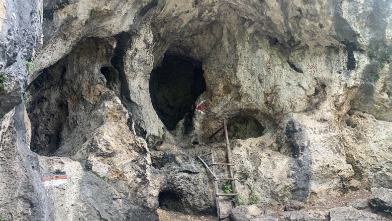 Blickplatz Luckerte Wand, © TVB Semmering-Rax-Schneeberg Felswand mit Löchern und einer Holzleiter.