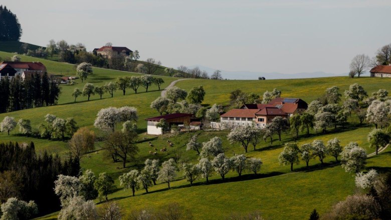 Fotopunkt St. Peter in der Au, © schwarz-koenig.at Fotopunkt St. Peter in der Au, © schwarz-koenig.at