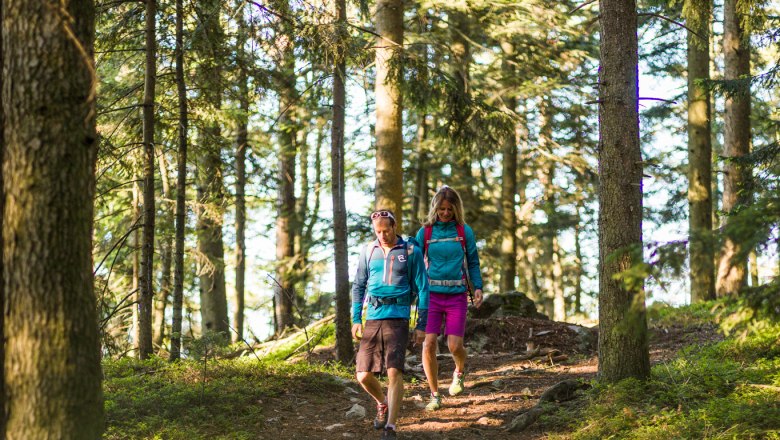 Weg zur Aussichtswarte am Hutwisch, © Wiener Alpen/Martin Fülöp Zwei Personen wandern auf einem Waldweg, umgeben von hohen Bäumen.