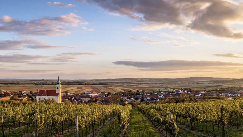 Röschitz, © Reinhard Podolsky Blick auf Röschitz mit Kirche und Weinbergen im Vordergrund bei Sonnenuntergang.