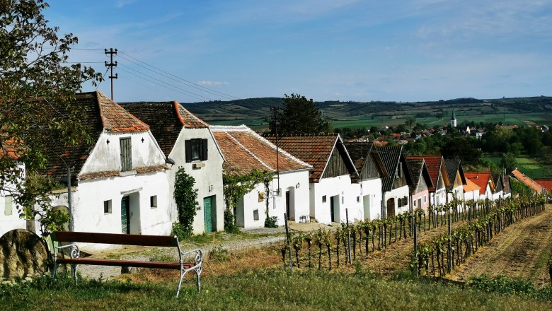 Kleine Kellertrift in Haugsdorf, © Weinstraße Weinviertel Reihe von Weinkellern in Haugsdorf mit Weinreben im Vordergrund und Dorf im Hintergrund.