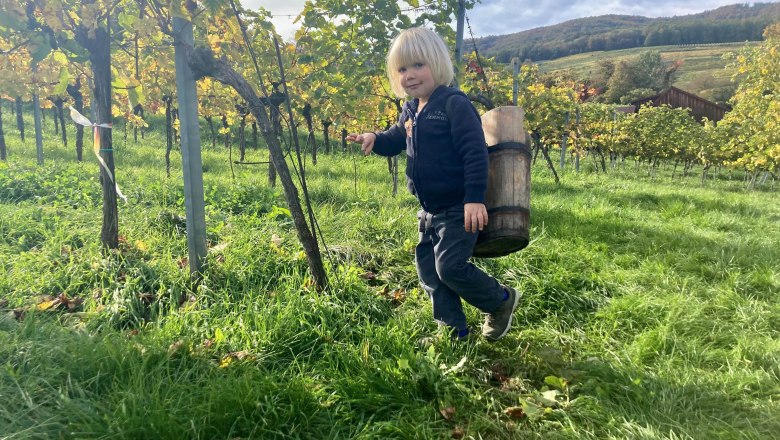 Weinlese 2023, © Monika Pölzer Ein Kind mit einem Holzeimer im Weinberg bei der Weinlese.