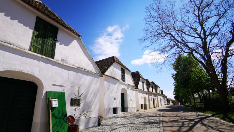Kellergasse Zipf, © Weinstraße Weinviertel Kellergasse in Mailberg mit weißen Gebäuden und blauem Himmel.