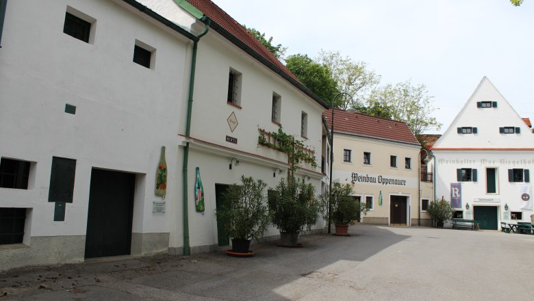 Poysdorf Kellergasse Gstettn, © Weinviertel Tourismus Kellergasse in Poysdorf mit traditionellen Weinhäusern und Pflanzen.