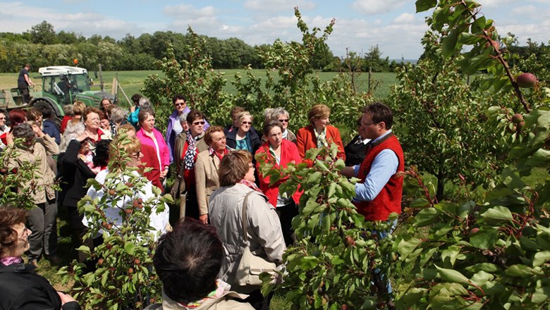 Betriebsführung, © Ing. Wolfgang Hackl Betriebsführung, © Ing. Wolfgang Hackl