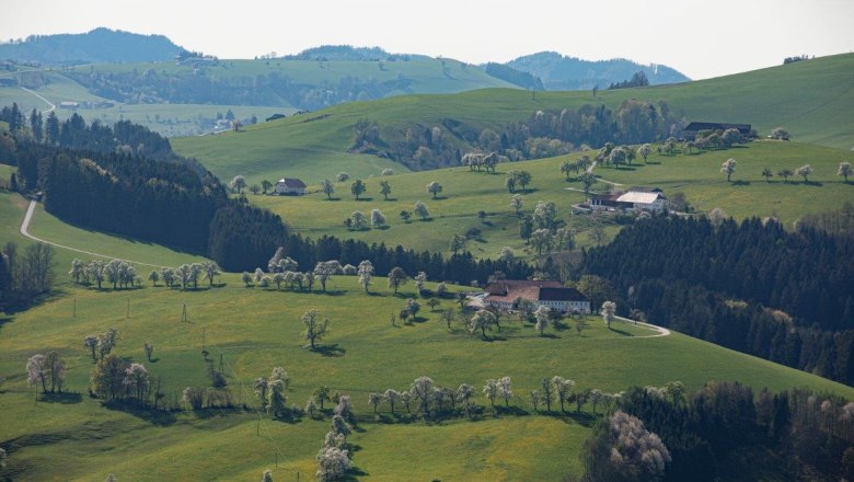 Fotopunkt Mostviertel, © schwarz-koenig.at Fotopunkt Mostviertel, © schwarz-koenig.at