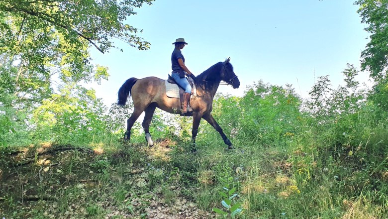 Shane und Jenny, © Jennifer Heß Shane und Jenny, © Jennifer Heß