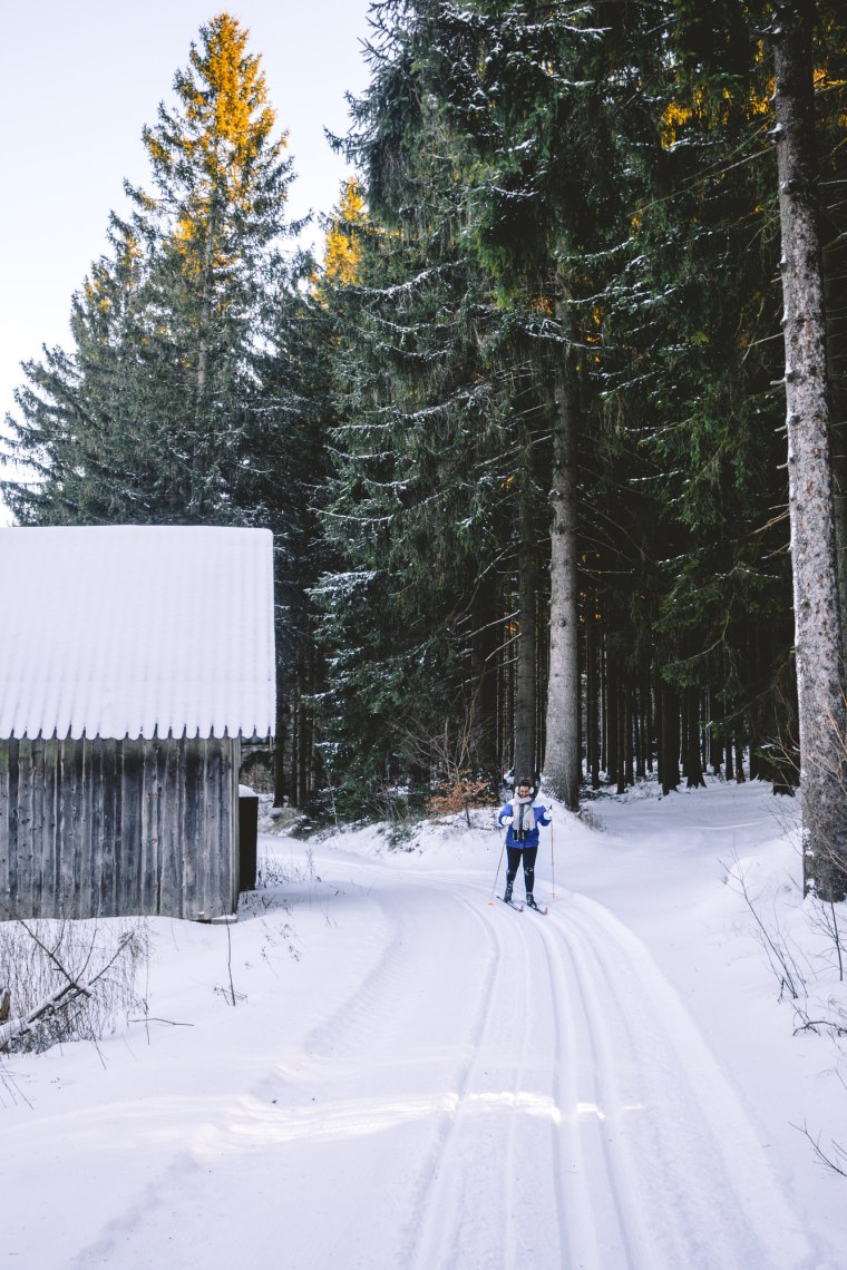 Langlaufen in Gutenbrunn, © Kathrin Schlager von sevenandstories Langlaufen in Gutenbrunn, © Kathrin Schlager von sevenandstories