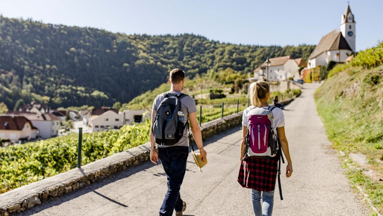 Weitwanderweg Kremstal-Donau zur Ruine Senftenberg, © Doris Schwarz-König Weitwanderweg Kremstal-Donau zur Ruine Senftenberg, © Doris Schwarz-König