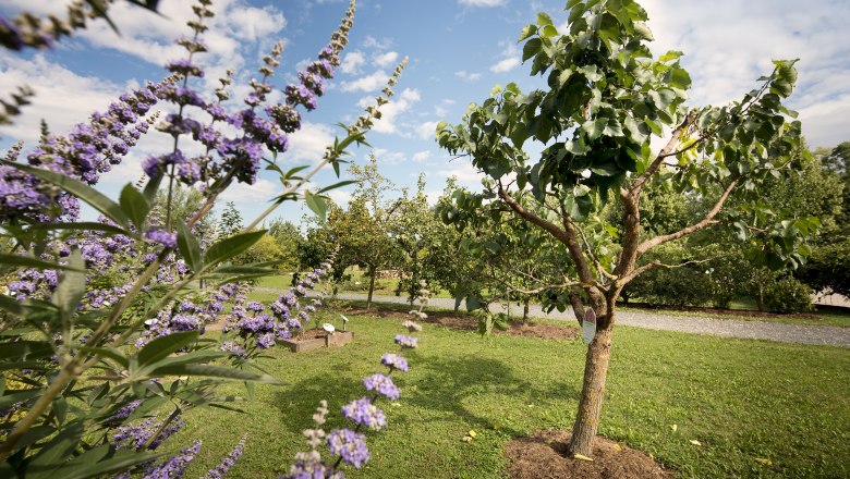 Alchemistenpark, Kirchberg am Wagram, © Leonhard Hilzensauer Alchemistenpark, Kirchberg am Wagram, © Leonhard Hilzensauer