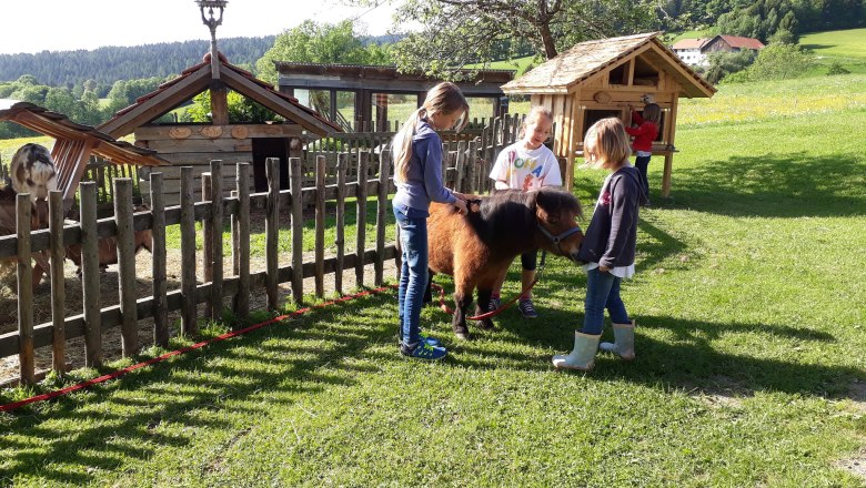 Garten, © Familie Rosinger Kinder streicheln ein Pony auf einer Wiese neben einem Holzzaun und kleinen Gebäuden.