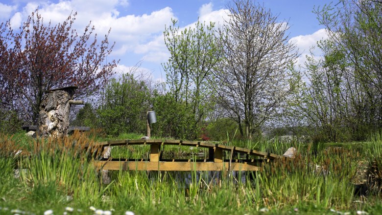 Gartenbauschule Langenlois, © "Natur im Garten"/Alexander Haiden Ein Garten mit Brücke, Bäumen und Gießkanne unter blauem Himmel.