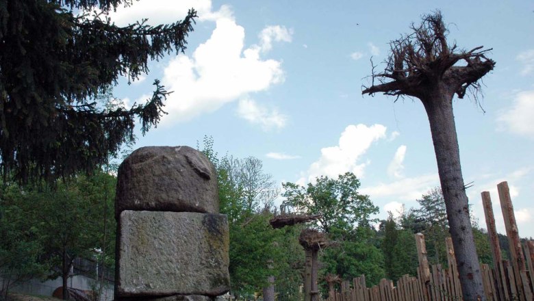 33_0084, © Waldviertler Wurzelwelt und Waldpädagogik 33_0084, © Waldviertler Wurzelwelt und Waldpädagogik