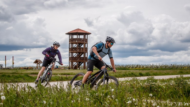 Aussichtstum Platt, © Erwin Haiden Zwei Radfahrer fahren auf einem Weg vor einem Aussichtsturm, umgeben von grüner Landschaft und bewölktem Himmel.
