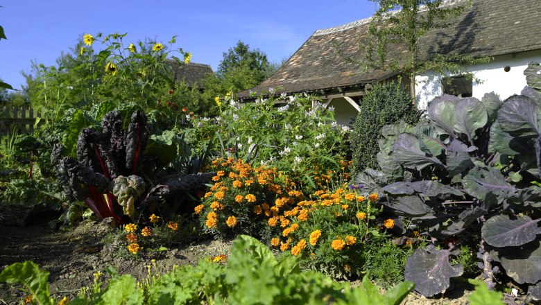 Nutz- und Gemüsegärten, © "Natur im Garten"/Alexander Haiden Ein üppiger Gemüsegarten mit verschiedenen Pflanzen und Blumen vor einem Haus.