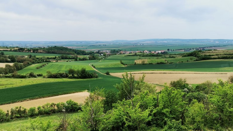 Aussicht vom Kogelkreuz, © Weinstraße Weinviertel Landschaft im Weinviertel mit Feldern und Hügeln.