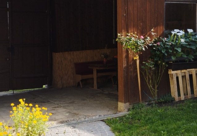 Blumen, © Regina Göschl Blumen, © Regina Göschl