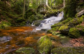Ysperklamm, © Martin Rehberger Klares Wasser der Ysper fließt über Steine im schattigen Abschnitt der Ysperklamm