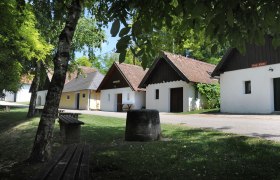 Kellergasse Leithen Platt, © Gemeinde Zellerndorf Eine malerische Kellergasse mit traditionellen Weinkellern und grüner Umgebung in Zellerndorf.