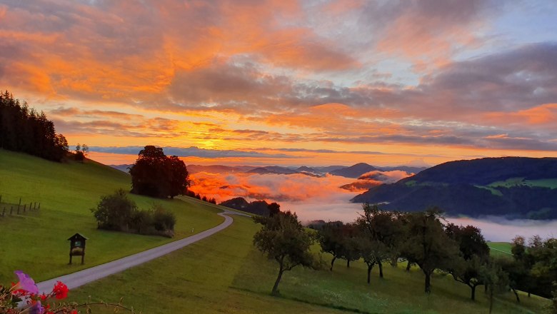 Morgenstimmung, © Melanie Schweighuber Morgenstimmung, © Melanie Schweighuber