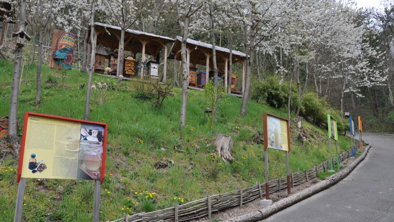 Bienenlehrpfad, © wiesi Ein Bienenlehrpfad mit Informationstafeln und Bienenstöcken unter blühenden Bäumen.