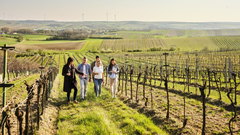 Weinfrühling im Weinviertel, © Niederösterreich Werbung/ Andreas Jakwerth Weinfrühling im Weinviertel, © Niederösterreich Werbung/ Andreas Jakwerth