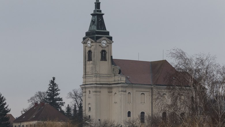 Kirche Niederhollabrunn, © Mag. (FH) Lea Seidl Kirche in Niederhollabrunn mit Turm und Uhr, umgeben von Bäumen.