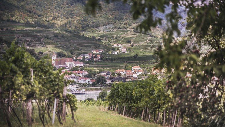 Spaziergang in Rossatz, © Daniela Matejschek Spaziergang in Rossatz, © Daniela Matejschek