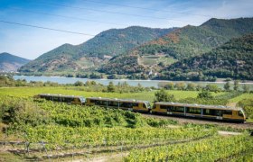 Wachaubahn, © Kerschbaummayr Ein gelber Zug fährt durch Weinberge in der Wachau, mit einem Fluss und bewaldeten Hügeln im Hintergrund.